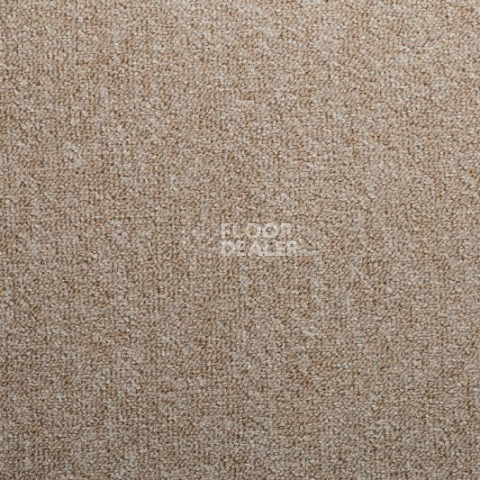 Ковролин Condor Forza 172 фото 1 | FLOORDEALER